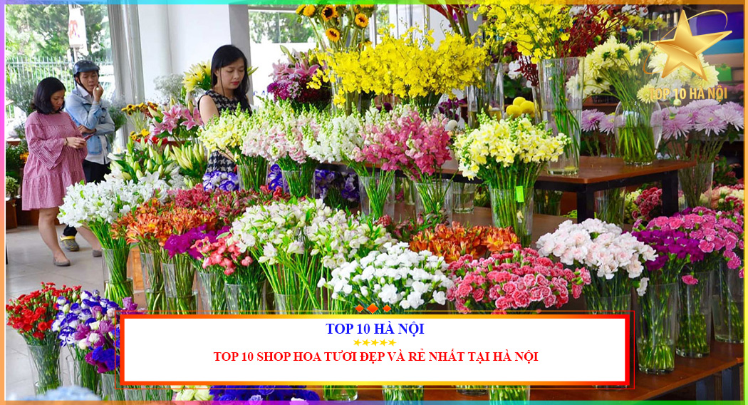 Shop hoa tưoi đẹp và rẻ nhất tại Hà Nội